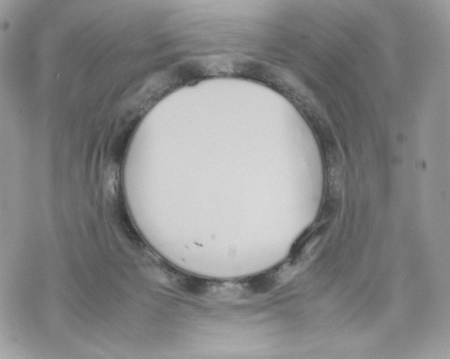 X0000070380125200607072203