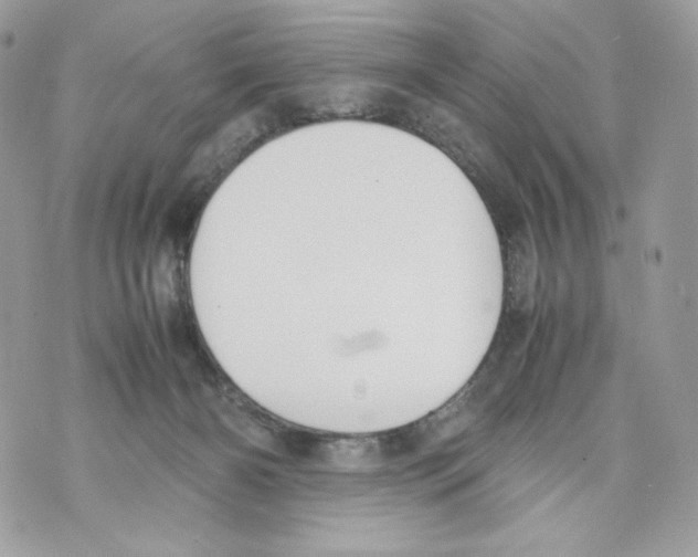 X0000070380126200607072203