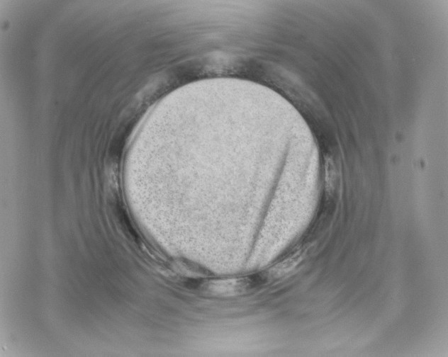 X0000070380127200607072203