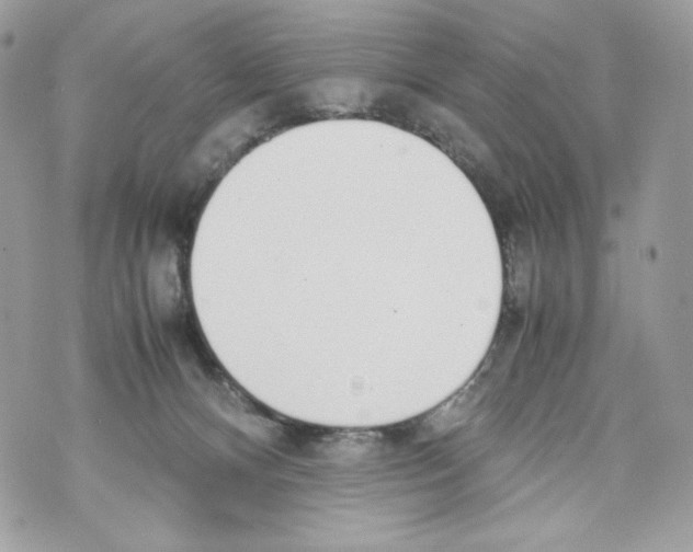 X0000070380128200607072203