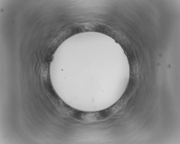 X0000070380129200607072203