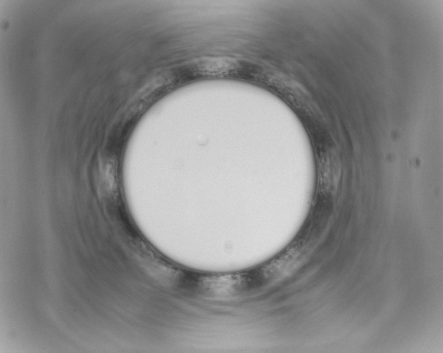 X0000070380131200607072203