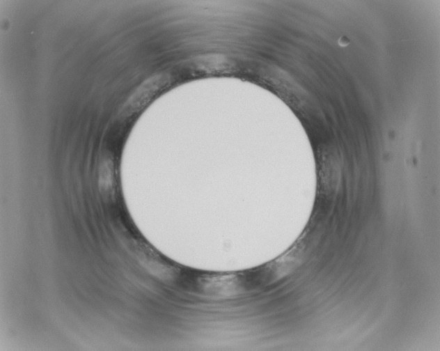 X0000070380132200607072203