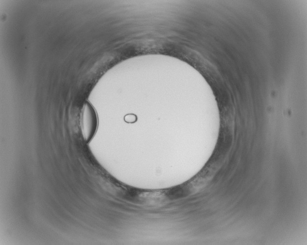 X0000070380133200607072203