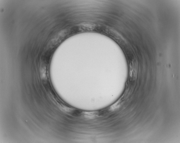 X0000070380134200607072203