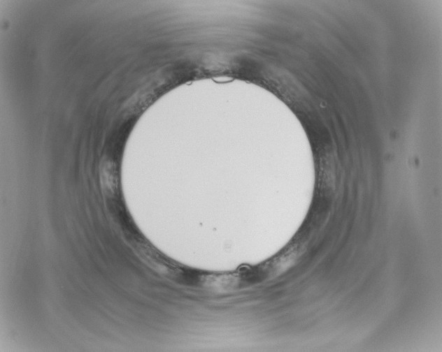 X0000070380135200607072203