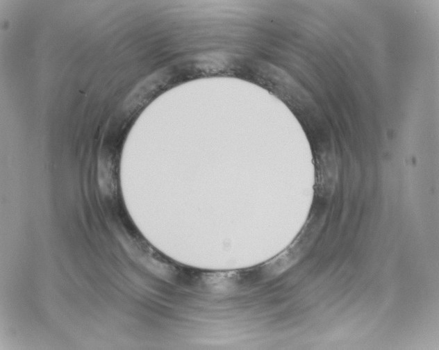 X0000070380136200607072203