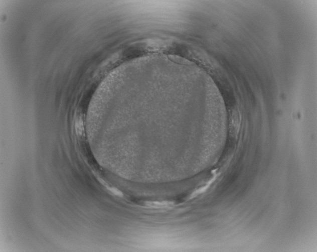 X0000070380137200607072203