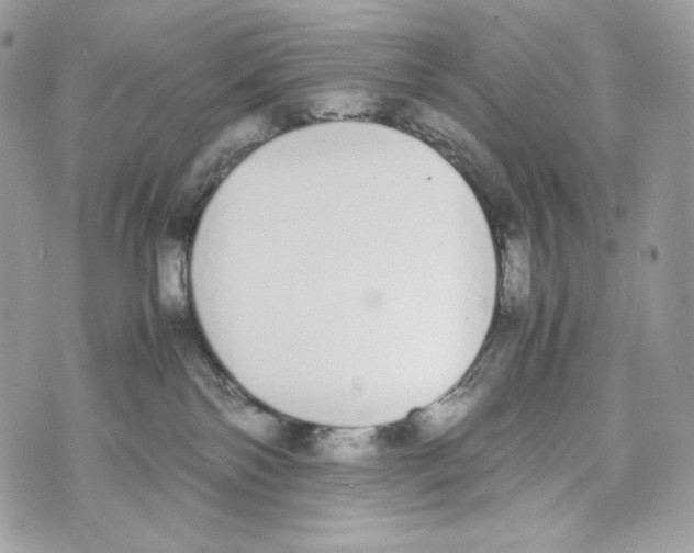 X0000070380138200607072203