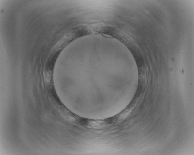 X0000070380139200607072203