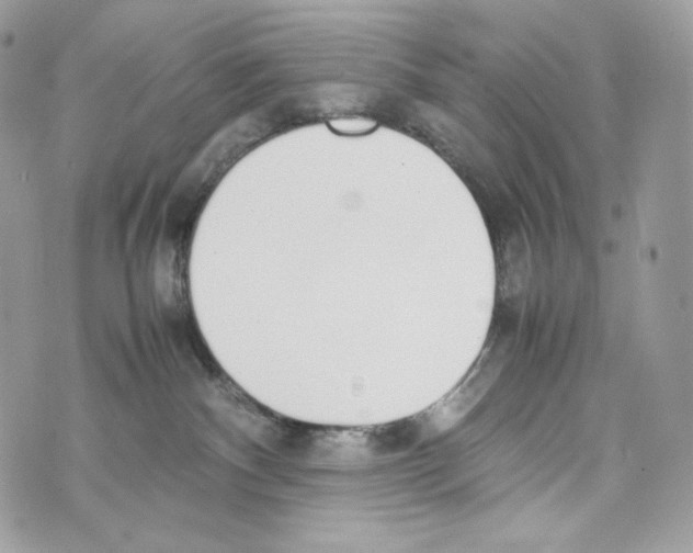 X0000070380140200607072203