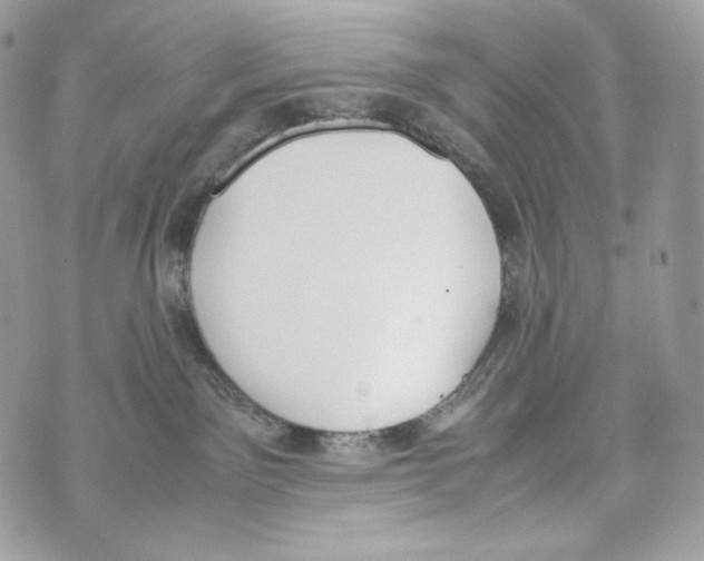 X0000070380141200607072203