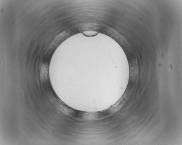 X0000070380142200607072203