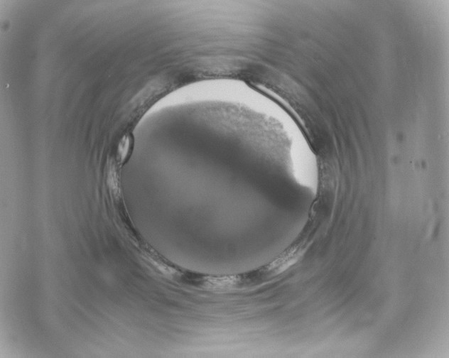 X0000070380143200607072203