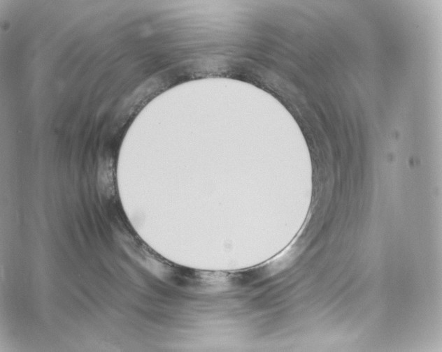 X0000070380144200607072203