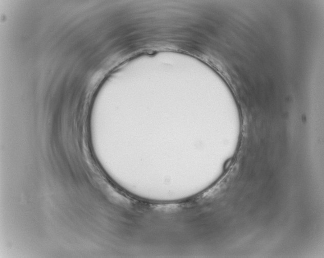 X0000070380145200607072202