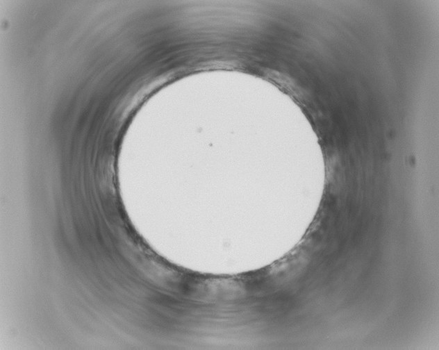 X0000070380146200607072202