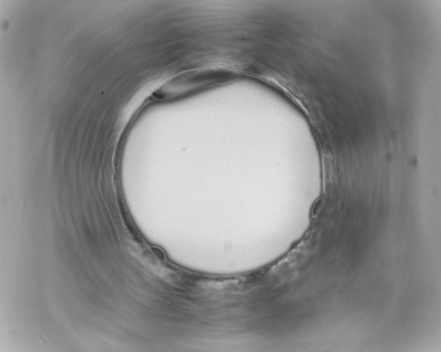 X0000070380147200607072202