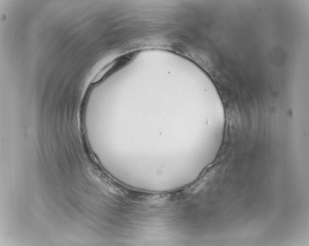 X0000070380148200607072202