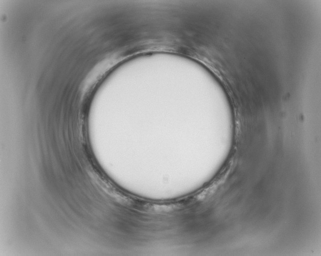 X0000070380149200607072202