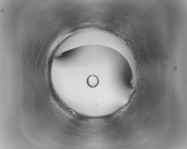 X0000070380150200607072202