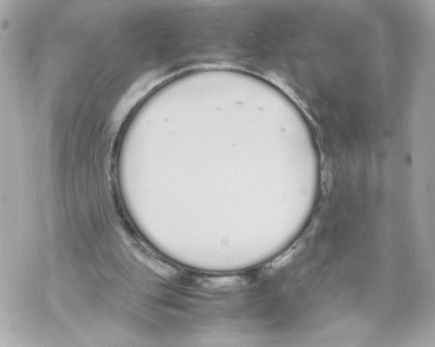 X0000070380151200607072203