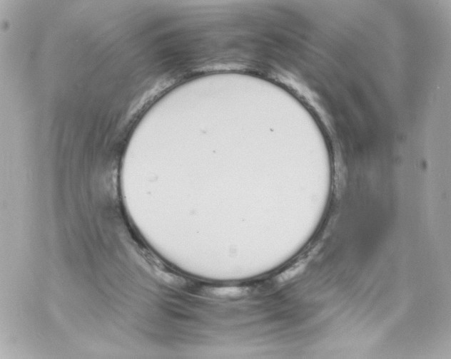 X0000070380153200607072203