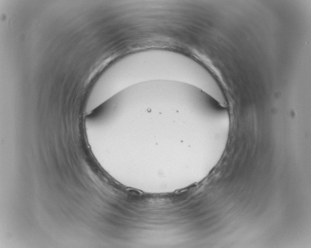 X0000070380154200607072203