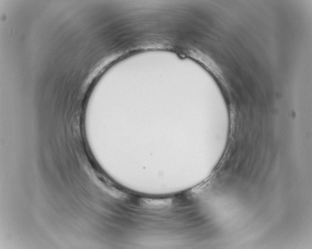 X0000070380155200607072203