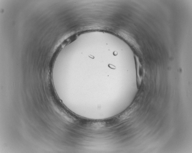 X0000070380156200607072203