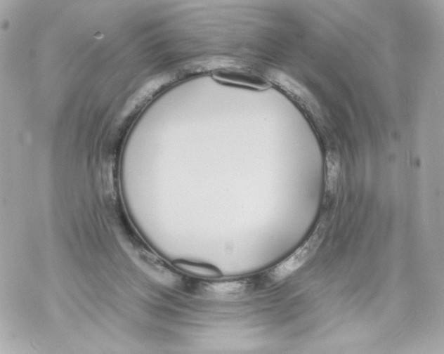 X0000070380158200607072203