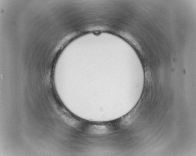 X0000070380159200607072203