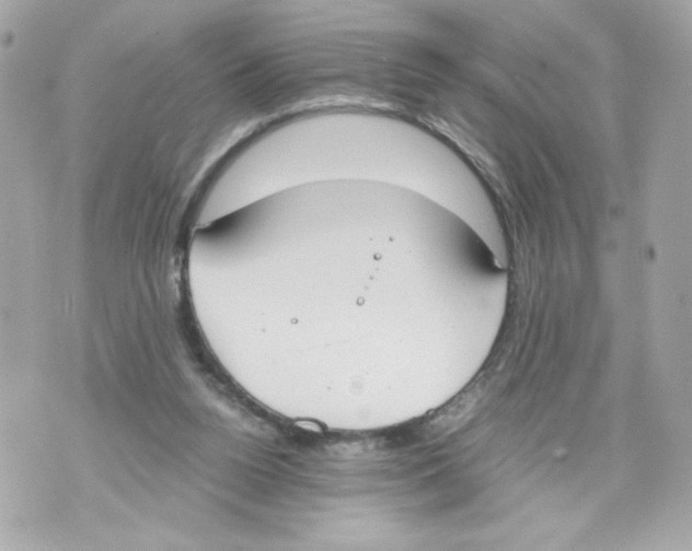 X0000070380160200607072203