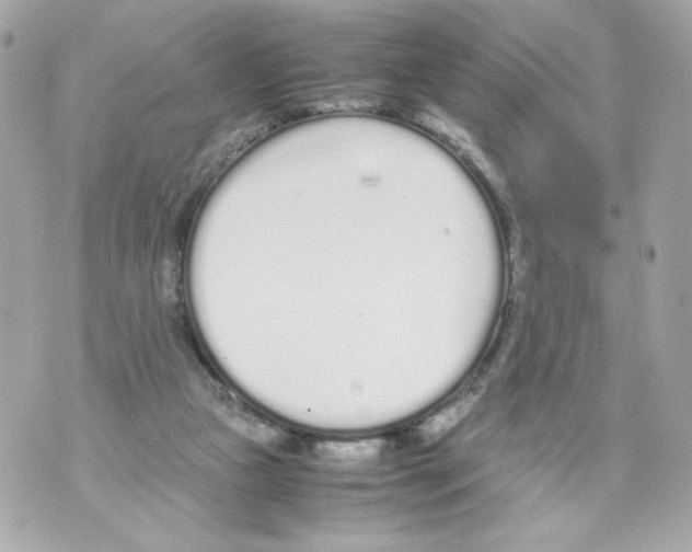 X0000070380161200607072203