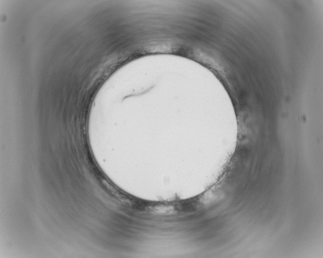 X0000070380162200607072203