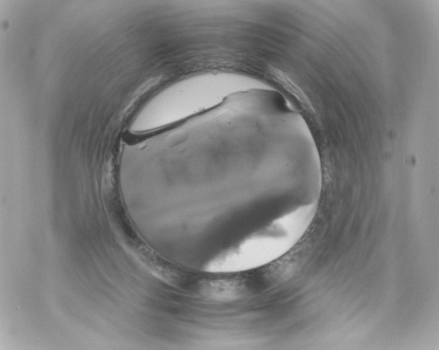 X0000070380163200607072203