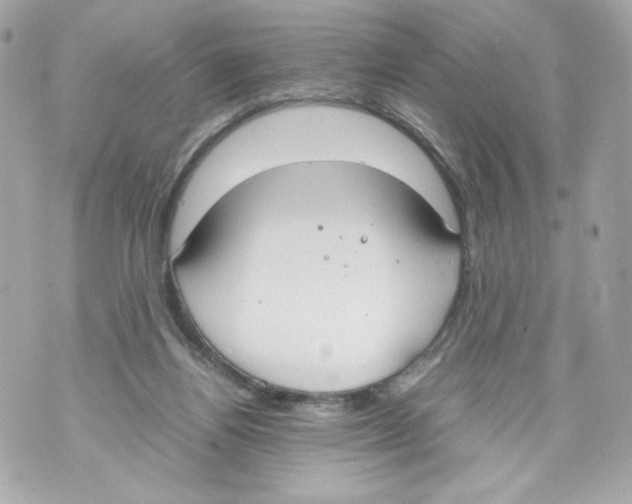 X0000070380164200607072203