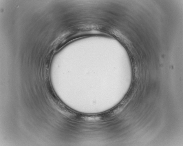 X0000070380165200607072203