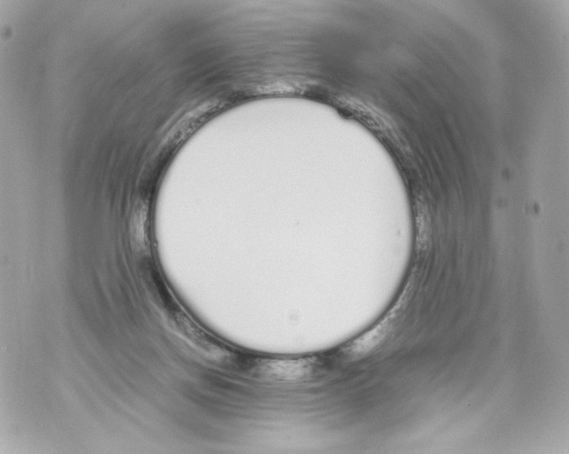 X0000070380166200607072203