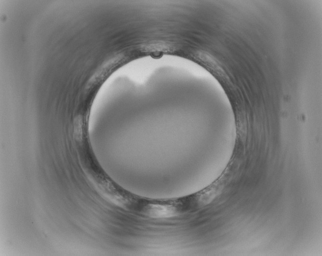 X0000070380167200607072203