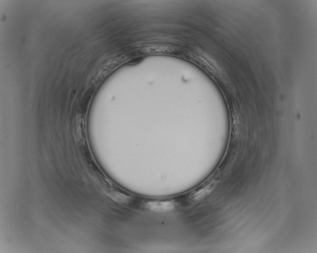 X0000070380169200607072203