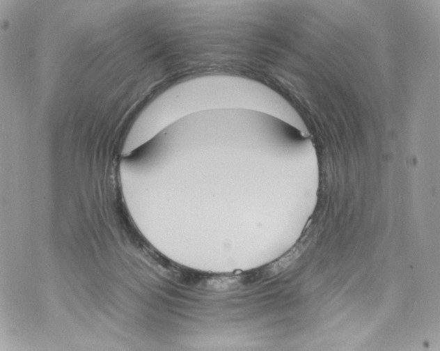 X0000070380172200607072203