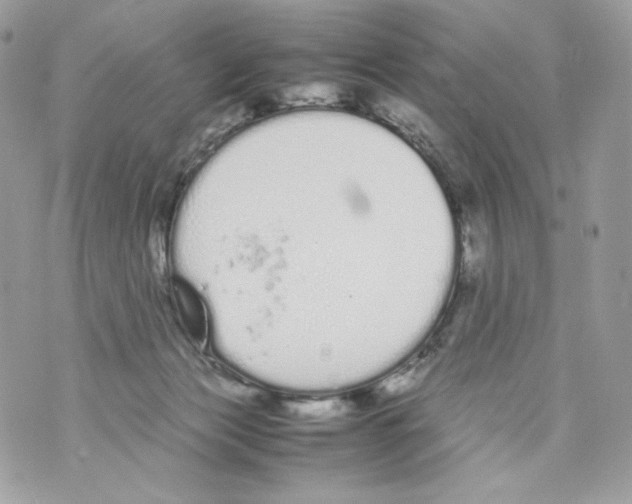 X0000070380173200607072203