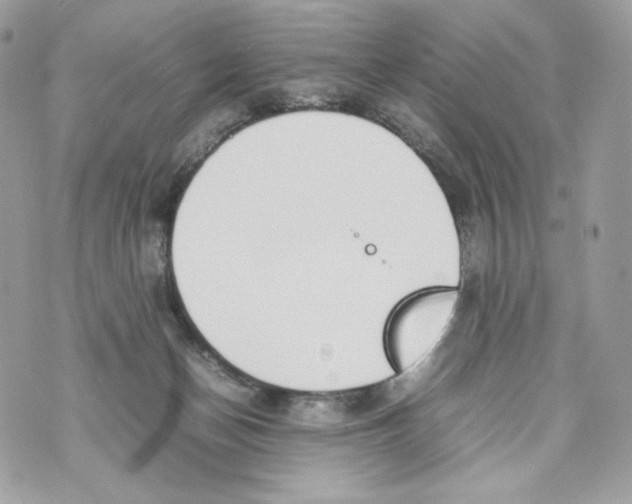 X0000070380174200607072203