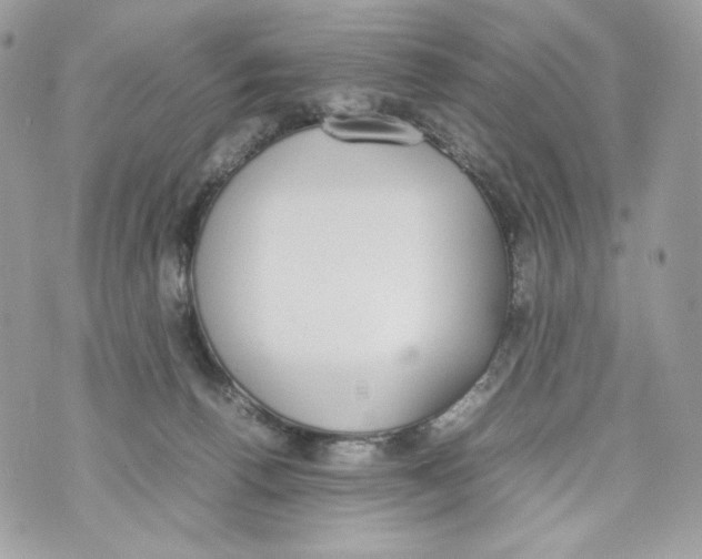 X0000070380176200607072203