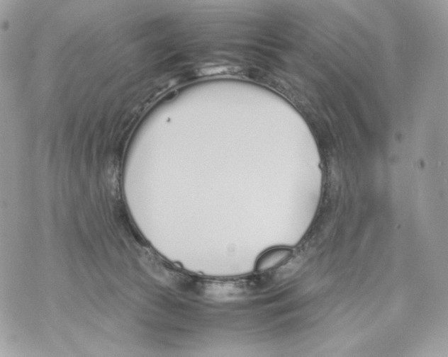 X0000070380177200607072203