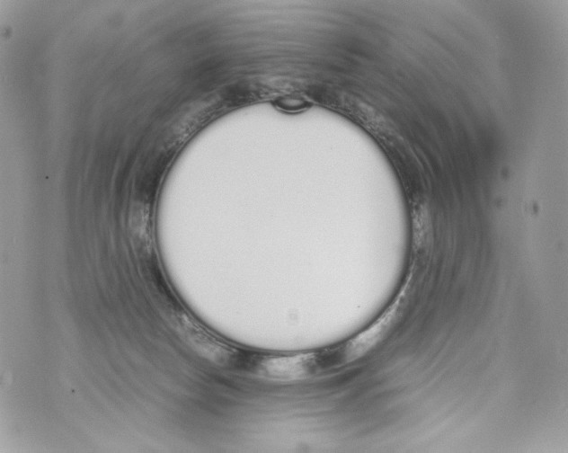 X0000070380178200607072203