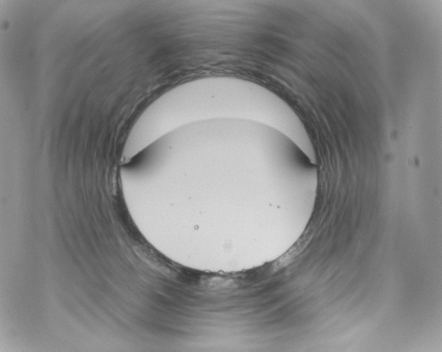 X0000070380180200607072203