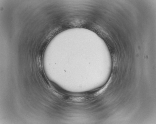 X0000070380182200607072203