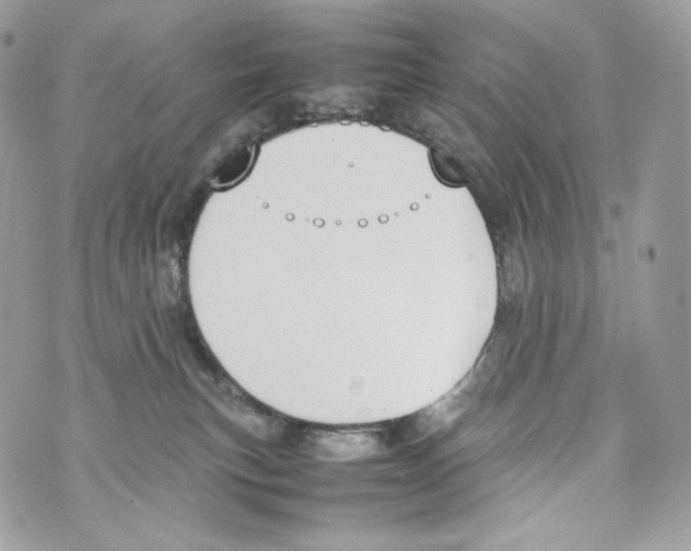 X0000070380183200607072203